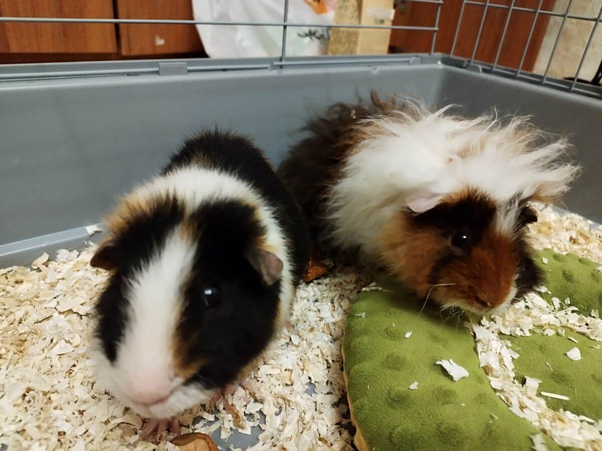 Мой мальчишки. Фото из архива автора. 