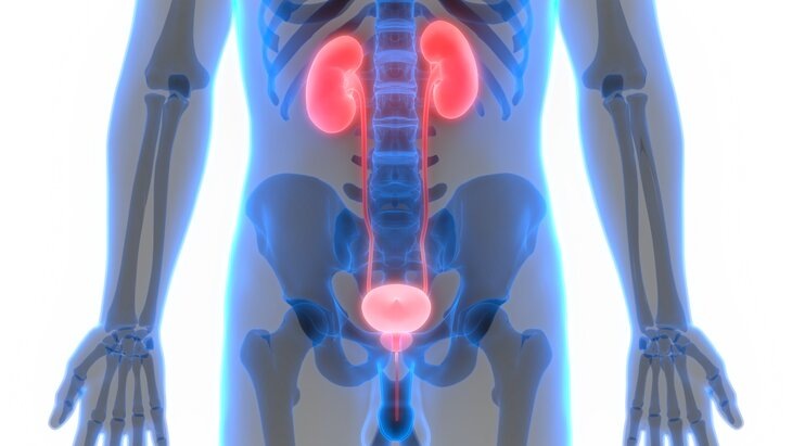    Фото: 123RF/magicmine