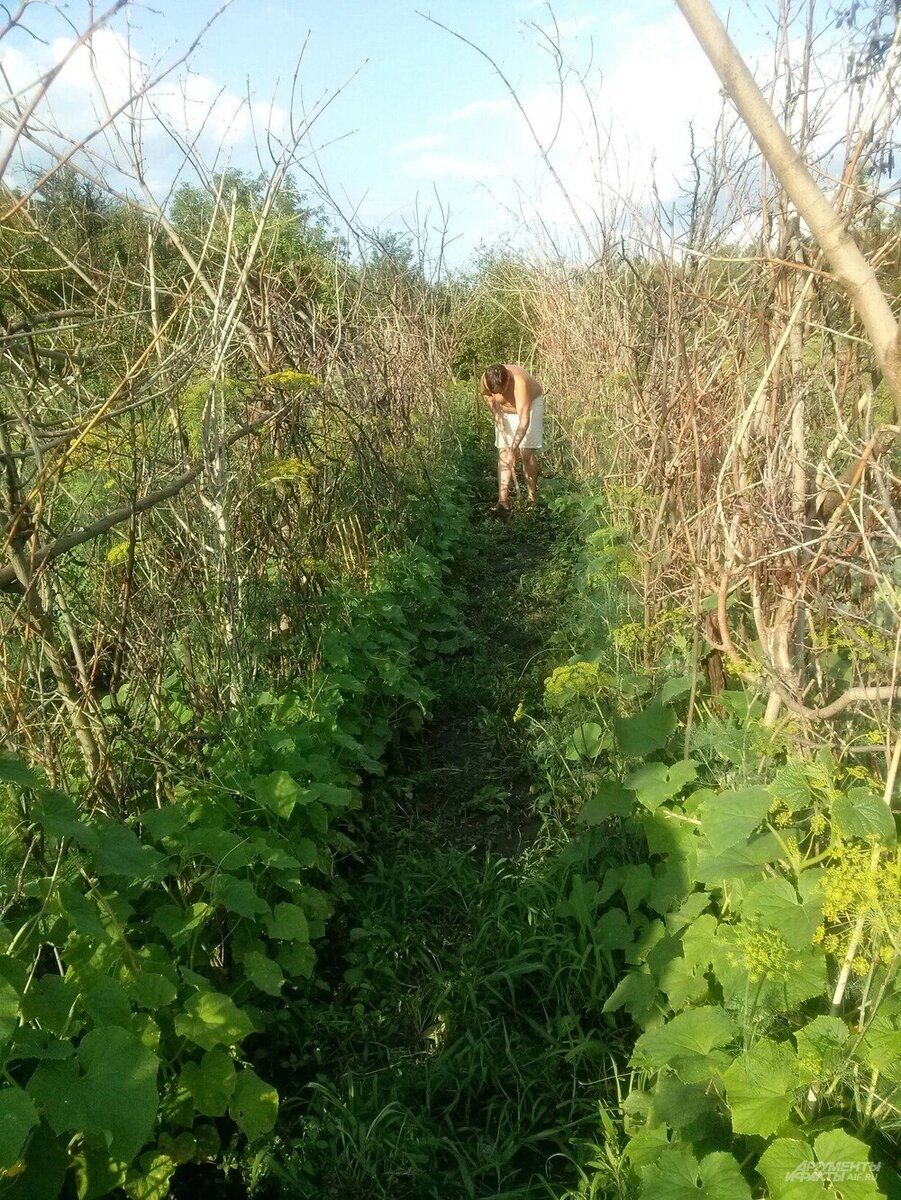    Фото: АиФ/ Денис Терентьев