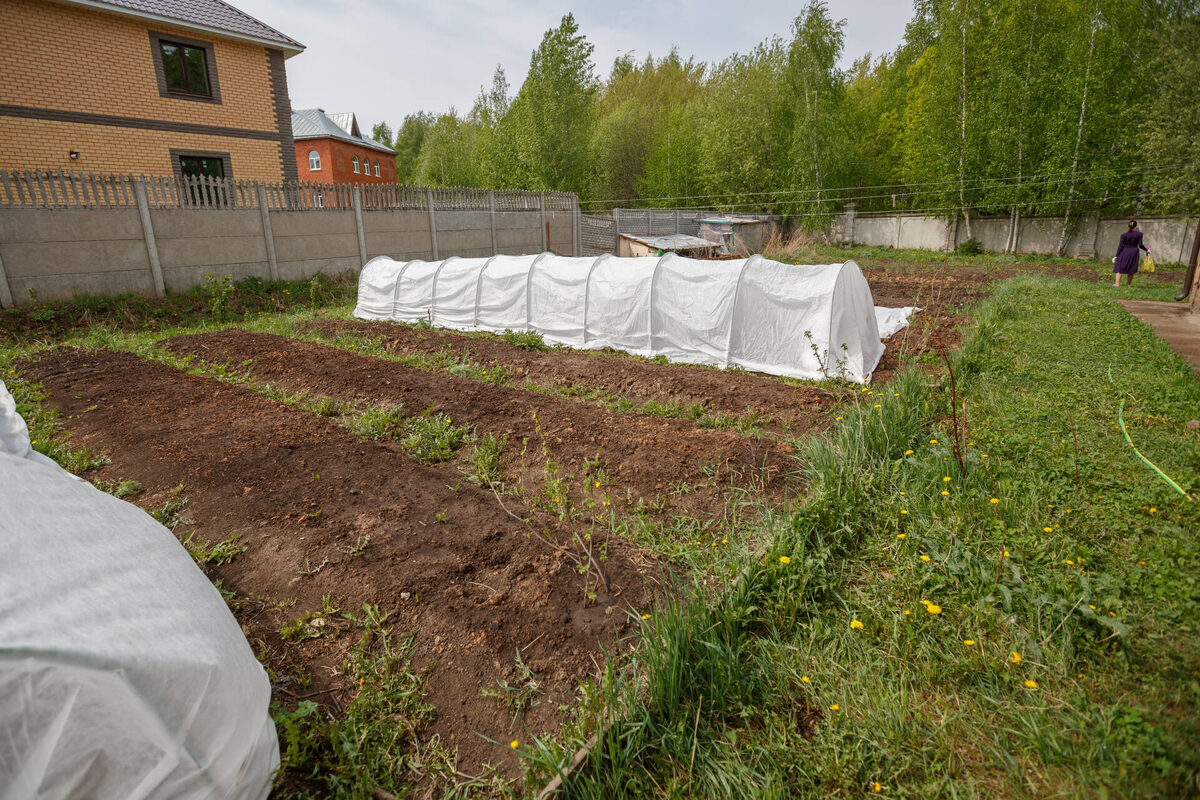 Фото: © Салават Камалетдинов / «Татар-информ»