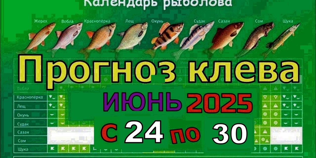Не пропустите! Уникальный прогноз клева рыбы с 24 по 30 июня 2025 года — узнайте, когда и где ловить трофеи!