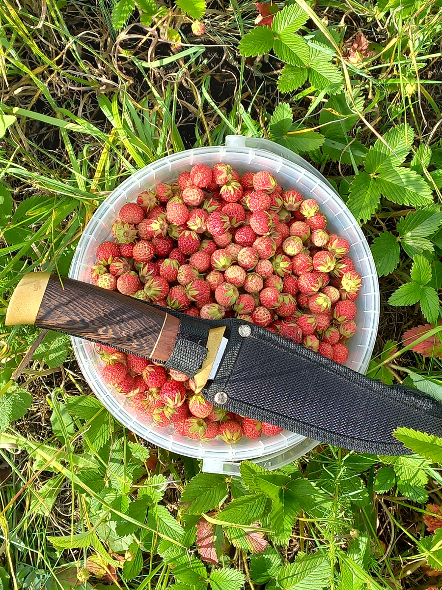 Вкуснятина.фото моё