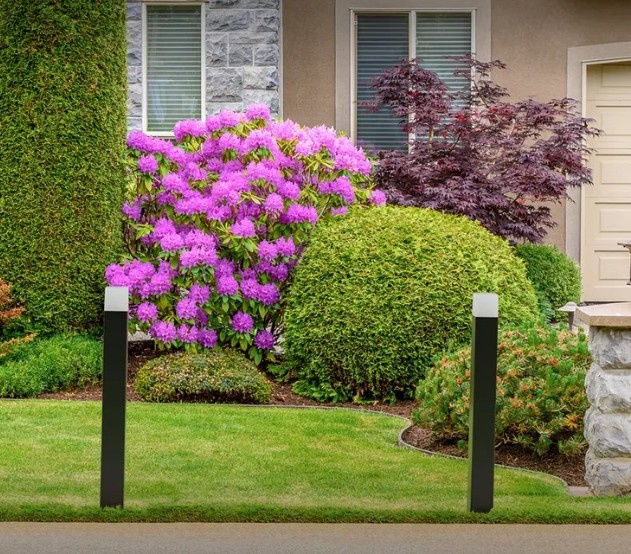 фото с Озон