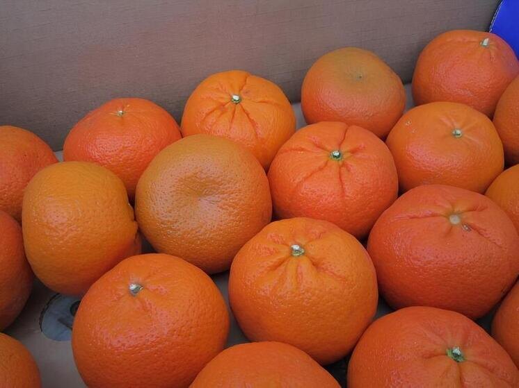     Фото: Северо-Западное межрегиональное управление Россельхознадзора