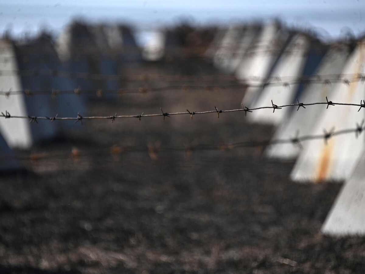 © РИА Новости