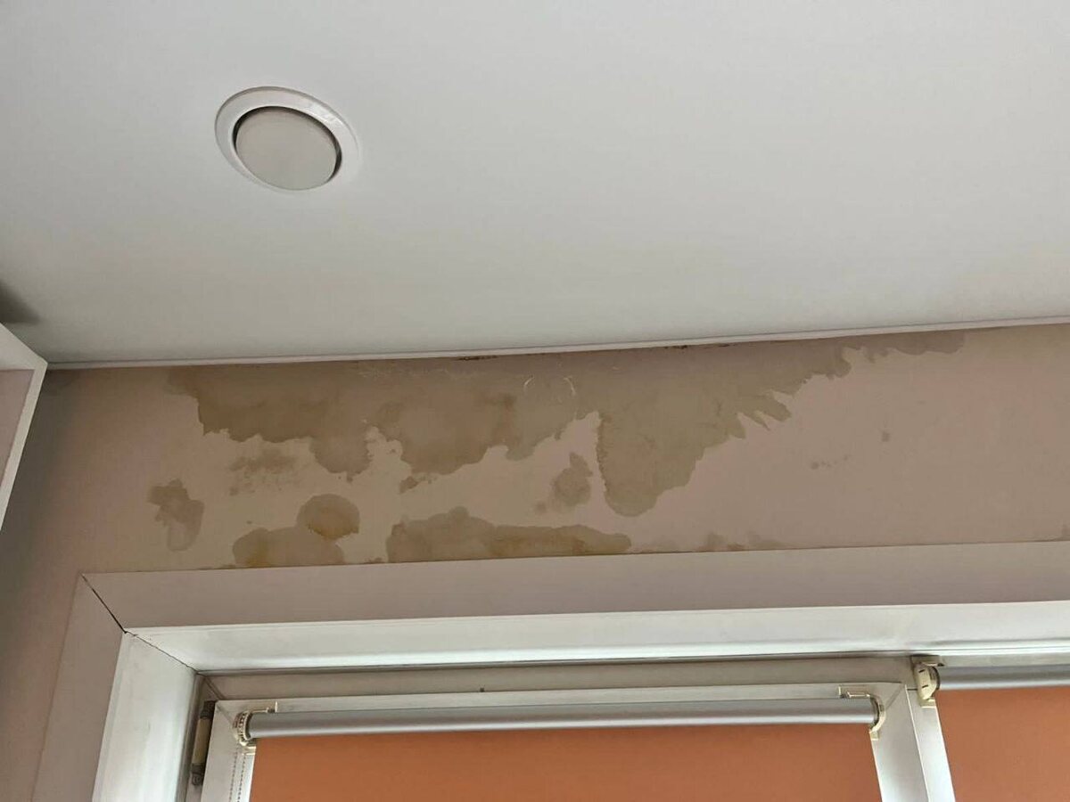    Фото: Прокуратура Красноярского края / Telegram