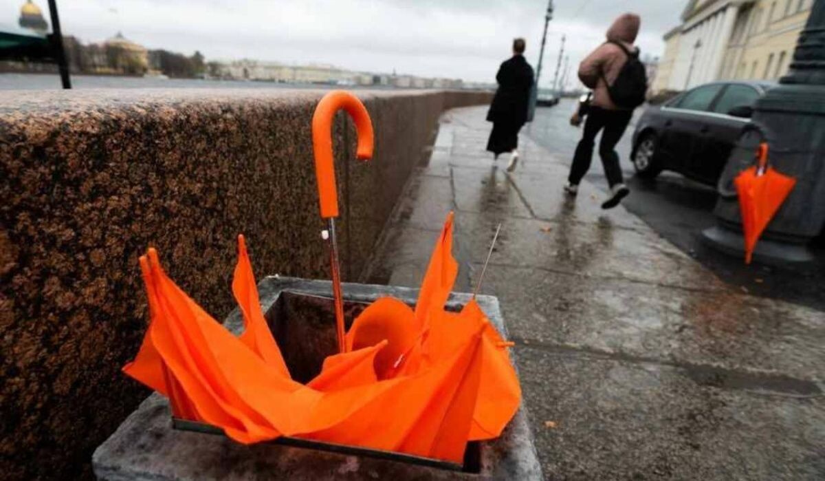     Зонт. Источник: kp.ru Автор фото: Юлия Пыхалова