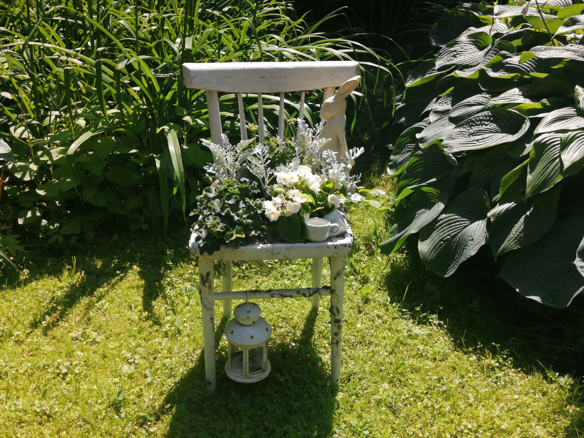 Один из уголков. Вариант оформления . фото автора канала "у бабушки в деревне" тверской ботанический сад. Июнь 2025 года