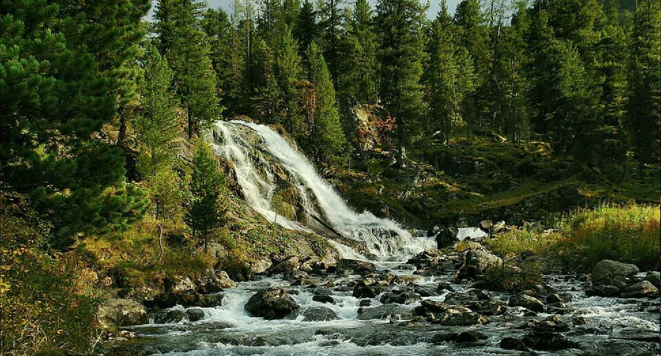    Sergey Malkov/Russian Look / www.globallookpress.com