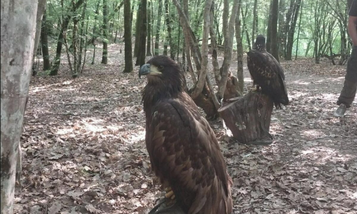    Фото t.me/naturalparks23