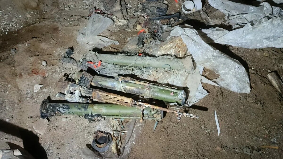    Фото: ГУ МВД по Петербургу и Ленобласти