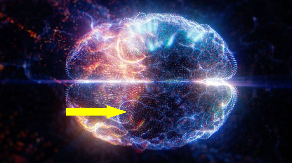    Величайшая загадка исчезновения Давида Ланга как феномен исчезающих людей