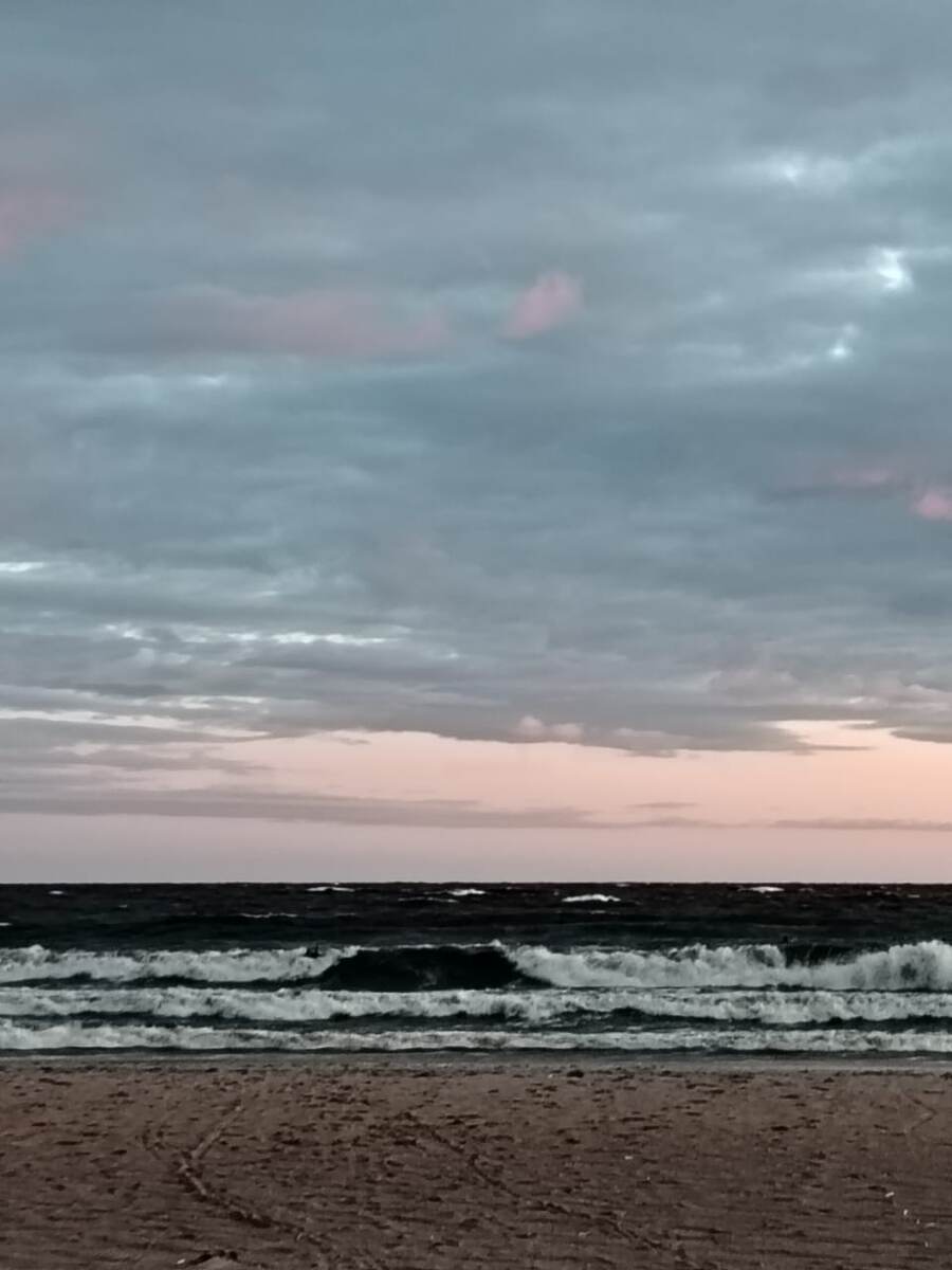 5 июля. П. Солнечное, Ленинградская область. Фото автора