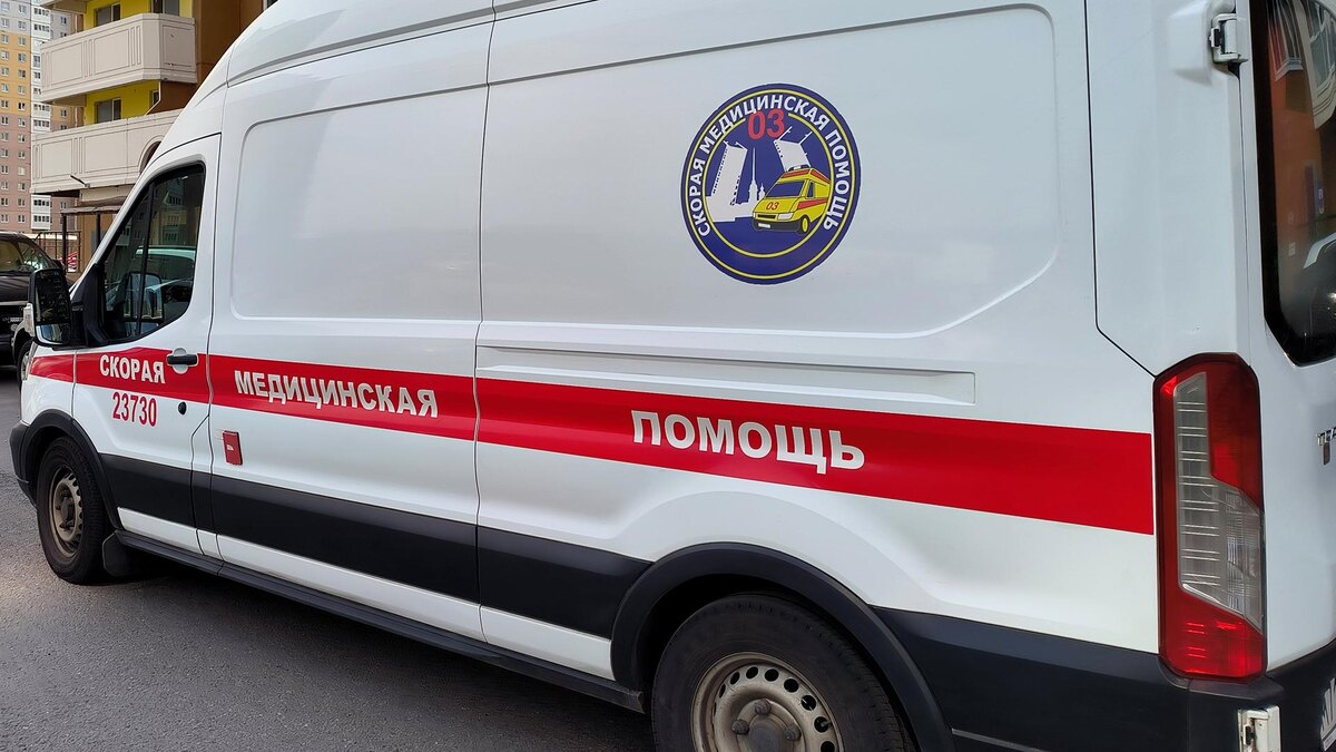    Фото: Maksim Konstantinov/globallookpress.com