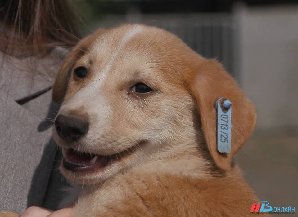    ФОТО: МТВ.ОНЛАЙН