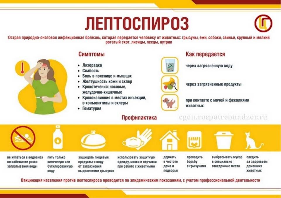    Роспотребнадзор по Волгоградской области