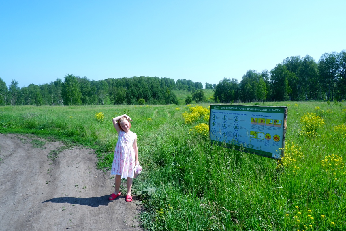 Инфостенд рассказывает правила поведения на эко-тропе и еще как правильно вытаскивать клеща