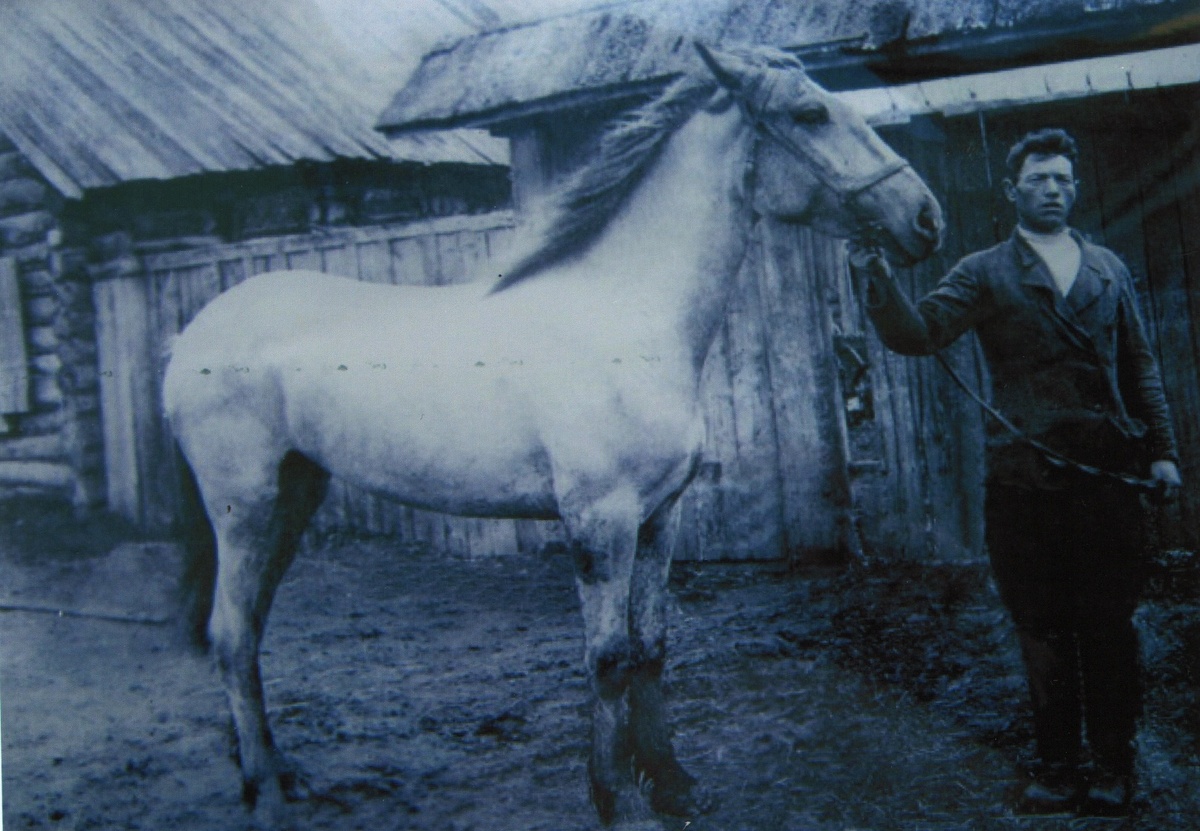 Фото на память в день отправки на фронт. Александра Тихонова призвали вместе с его лошадью. Деревня Косяково, 23 июня 1941 года