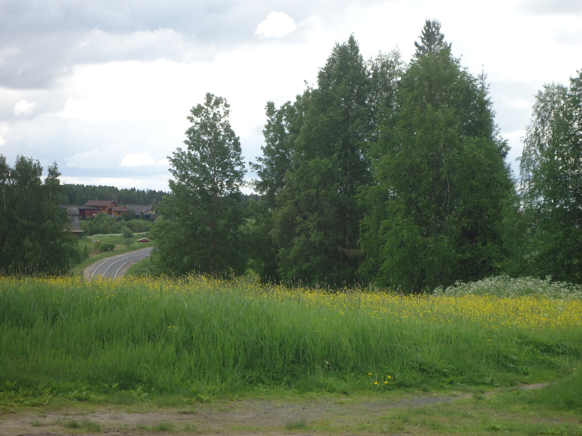 Уходящая в даль дорога от заповедника "Малые Корелы". Из архива автора.
