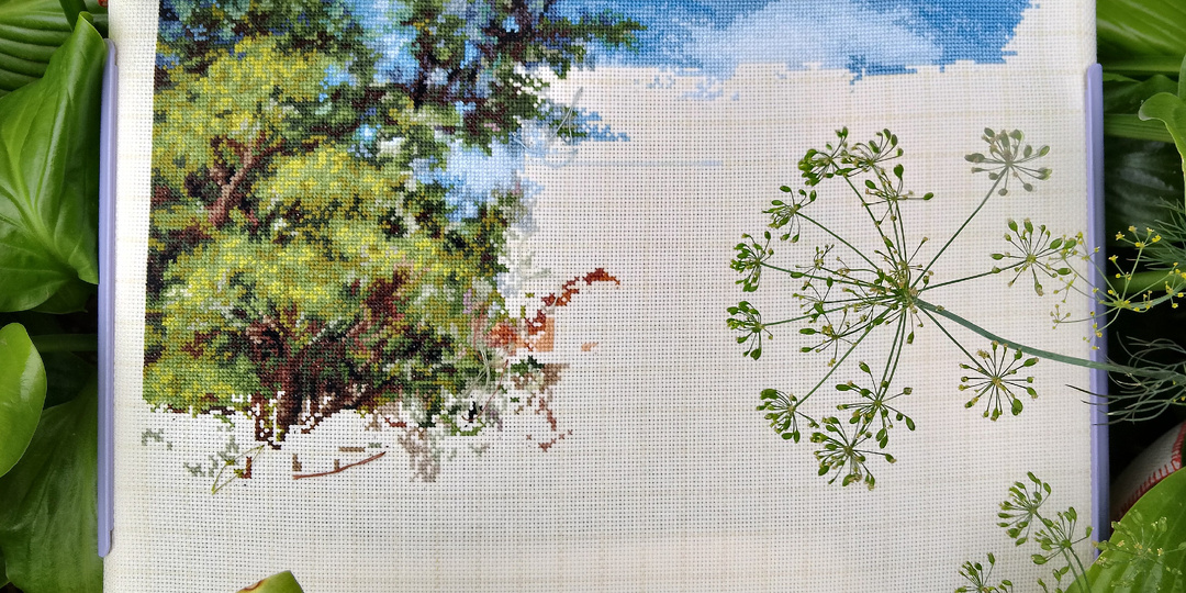 Лука-С уехал в деревню