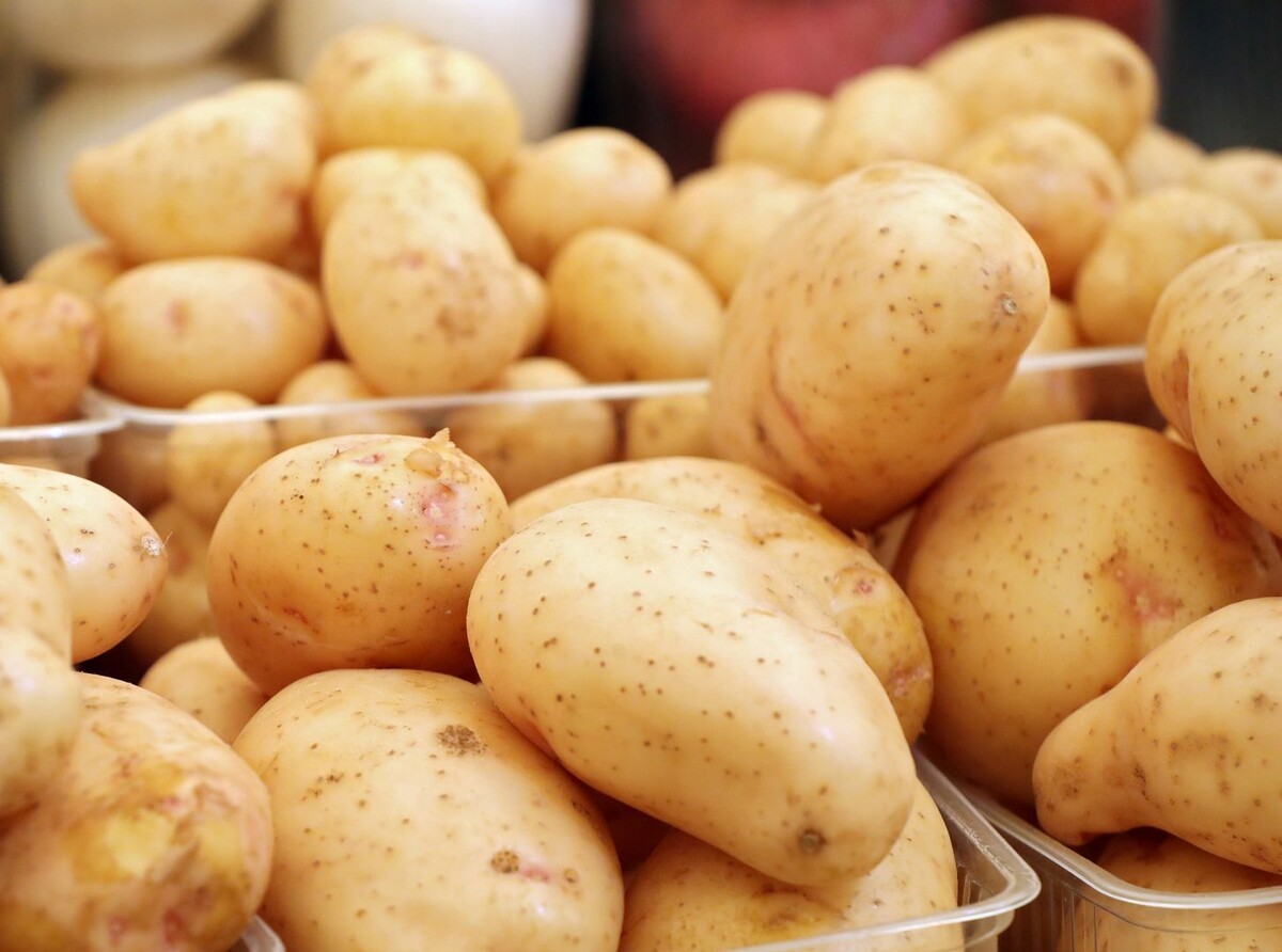     / Источник: © ИЗВЕСТИЯ/Андрей Эрштрем