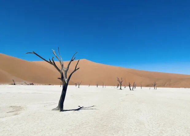 Миры безмолвия и загадок: путешествие по удивительным пустыням Земли