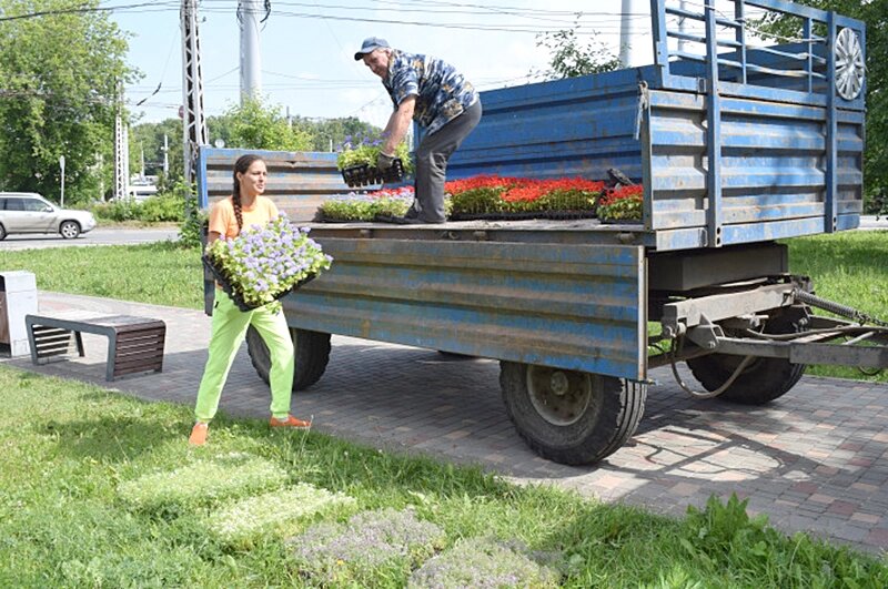    Нельзя представить городское благоустройство без красивых цветущих клумб. Фото: Администрация города Иваново