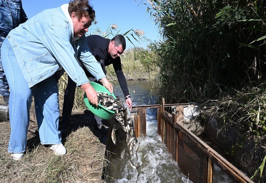 В текущем году планируется продолжить программу зарыбления