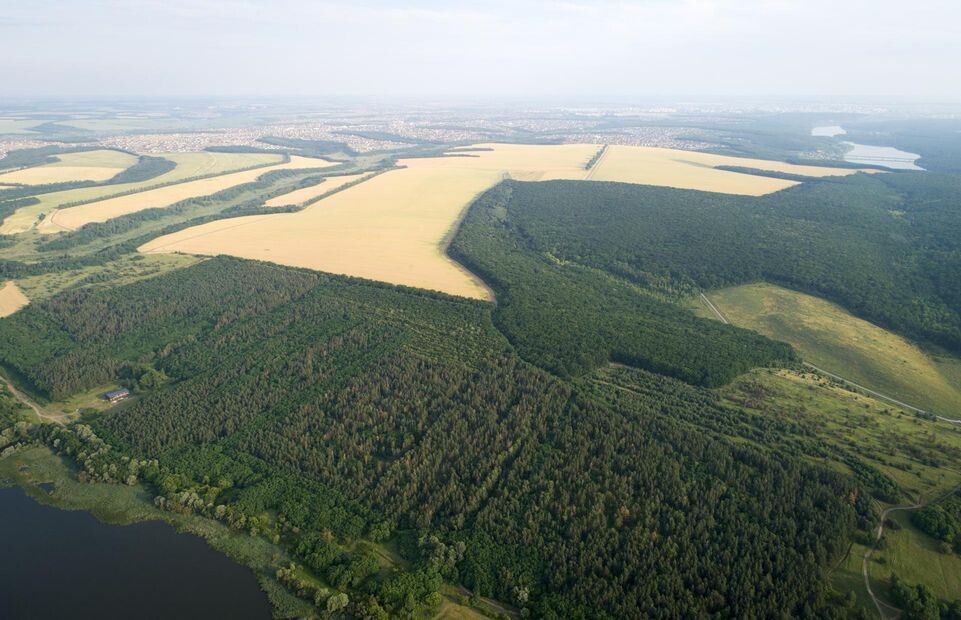    Nikolay Gyngazov/Global Look Press / www.globallookpress.com