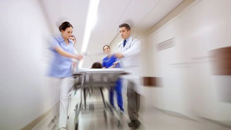    Фото: Ground Picture/Shutterstock/Fotodom