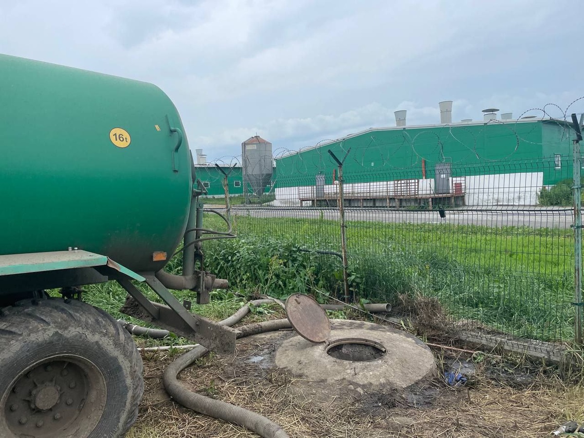     В Красноярском крае погибли трое сотрудников свинокомплекса