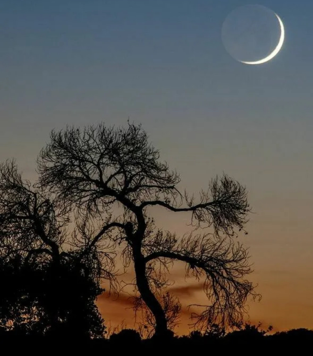 Новолуние июнь