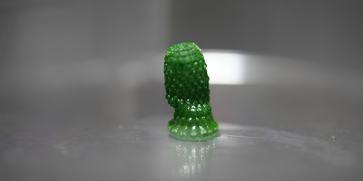 Фото: Yifan Cui, ETH Zurich