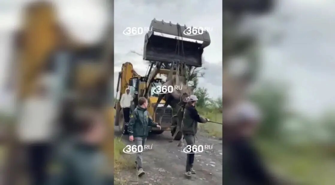    Фото: скриншот из видео 360.ru.