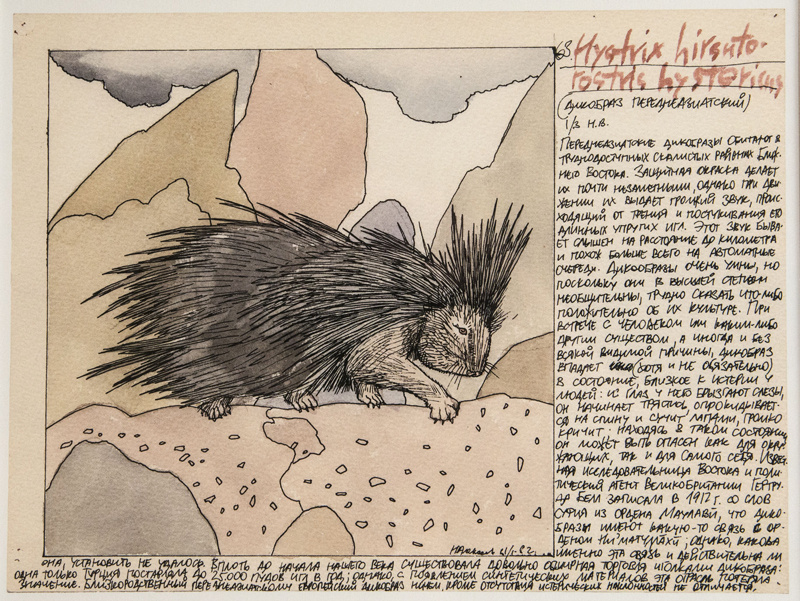 Никита Алексеев. Переднеазиатский дикобраз. Из серии «Жизнь животных Брема»/ФГБУК ГМВЦ РОСИЗО