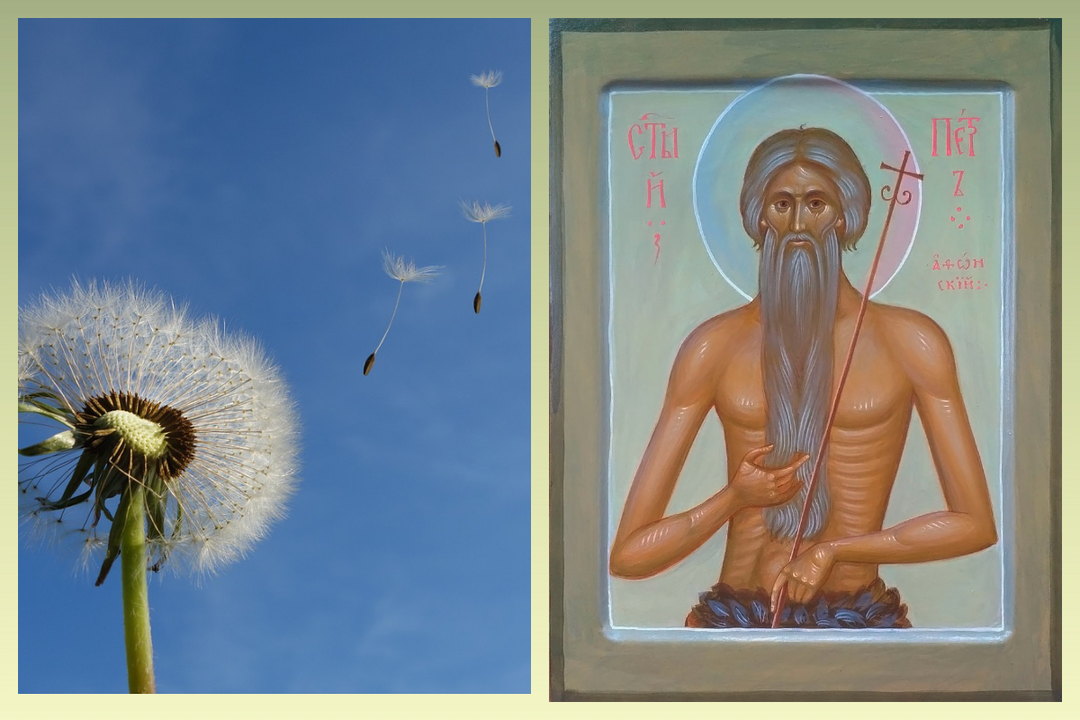 Прп. Петр Афонский/azbuka.ru, pixabay.com