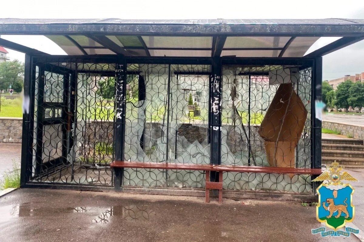    Акт вандализма раскрыли полицейские в Новосокольниках