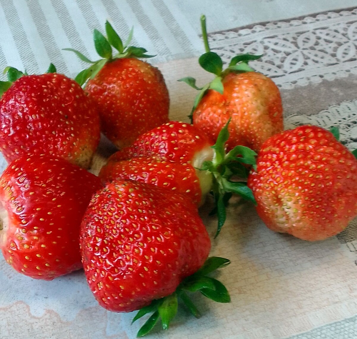 Фото Клопцова В.В.