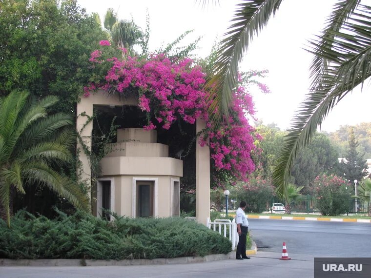 Турецкая жандармерия расследует случай с русскими туристами (архивное фото). Фото: Нина Калинина © URA.RU