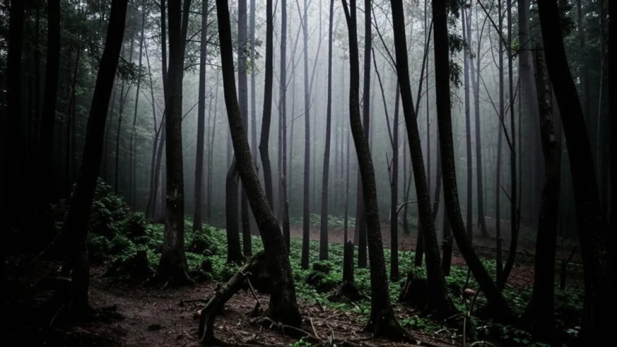    Сгенерировано ИИ