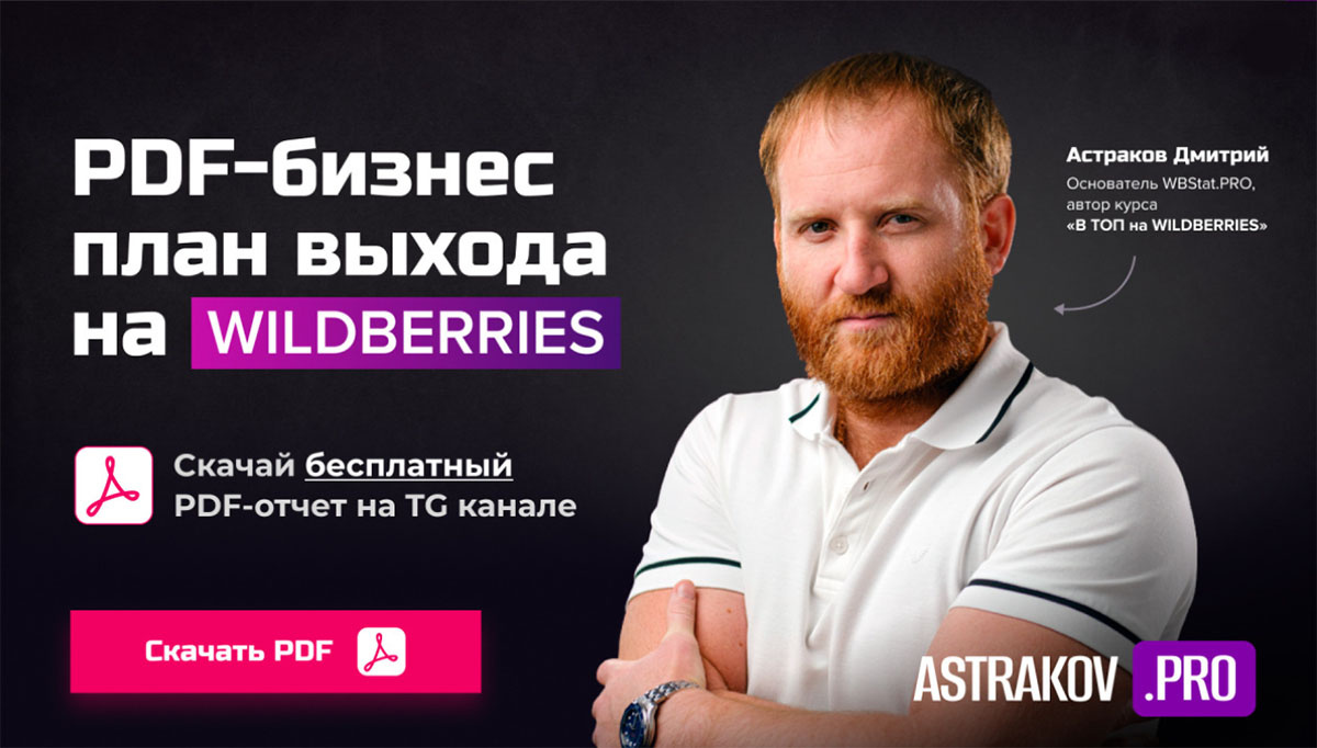 PDF-бизнес план выхода на WILDBERRIES