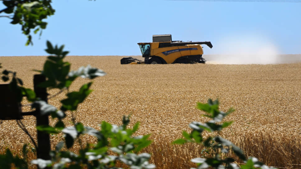 Фото: Анатолий Жданов / Коммерсантъ