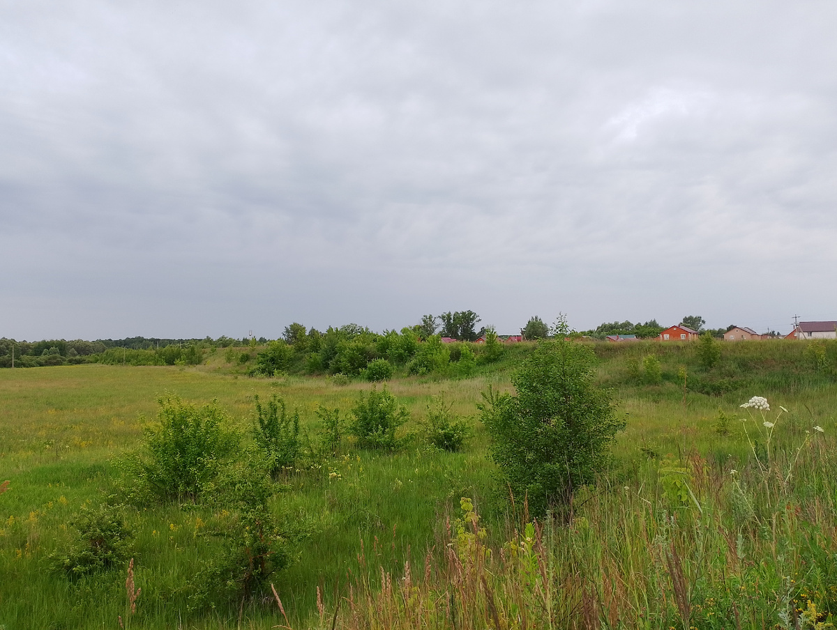 На окраине поселка 