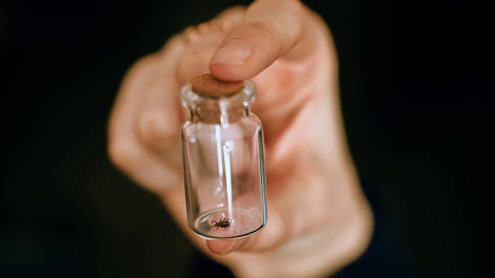 Фото: Мария Бакланова / Коммерсантъ