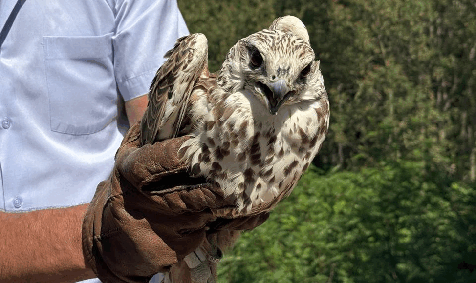    Фото: Минприроды Алтайского края