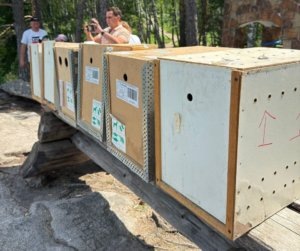    Фото: Минприроды Алтайского края