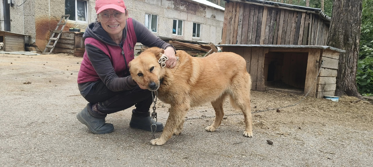 С куратором Натальей .