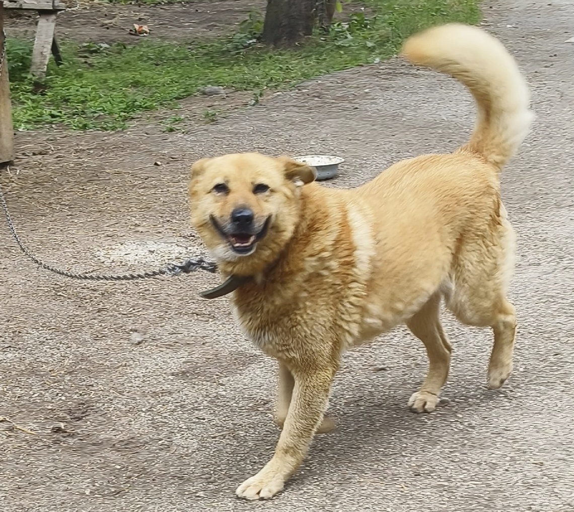 Наш рыжий позитив Дана. Всегда с улыбкой на всех фото.