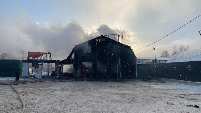 Фото: Следственный комитет Ленобласти