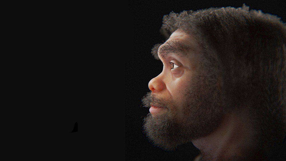     Фото: Wikipedia.org